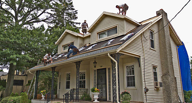 Best Roof Repair Services  in Bull Valley, IL